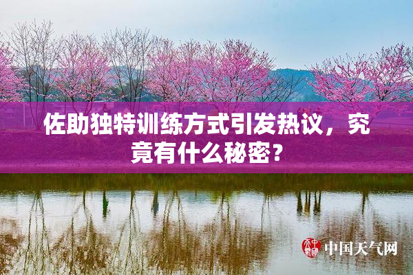 佐助独特训练方式引发热议，究竟有什么秘密？