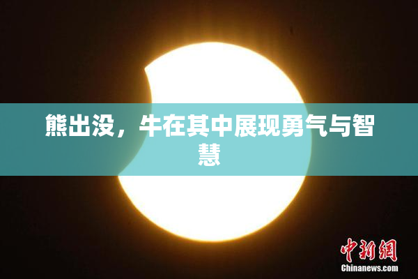 熊出没，牛在其中展现勇气与智慧
