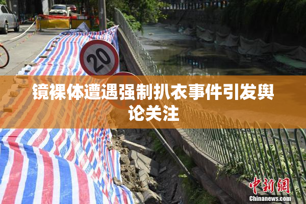 镜裸体遭遇强制扒衣事件引发舆论关注