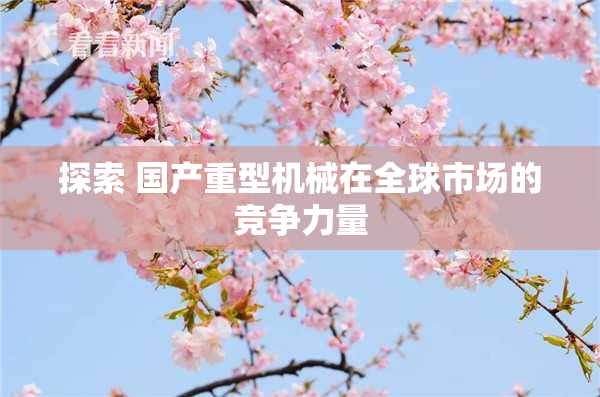 探索 国产重型机械在全球市场的竞争力量