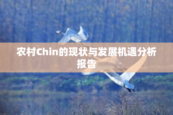农村Chin的现状与发展机遇分析报告