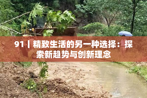 91丨精致生活的另一种选择：探索新趋势与创新理念