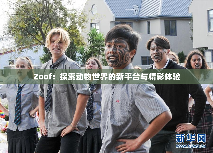 Zoof：探索动物世界的新平台与精彩体验