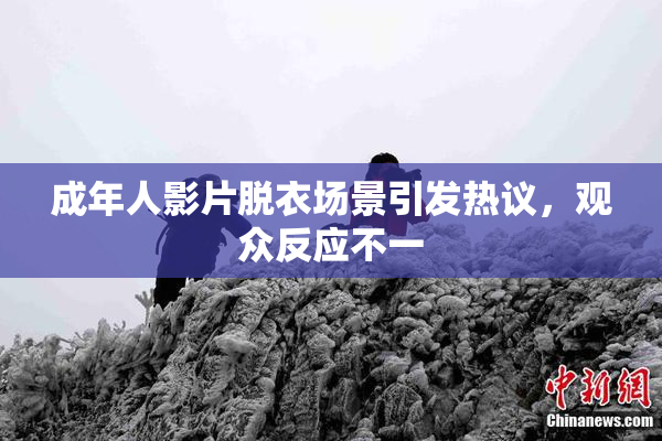 成年人影片脱衣场景引发热议，观众反应不一