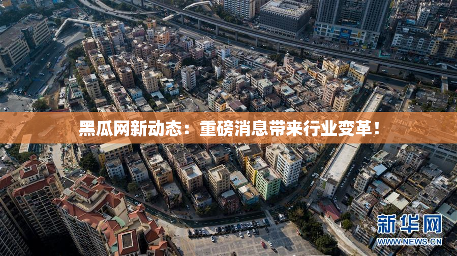 黑瓜网新动态：重磅消息带来行业变革！