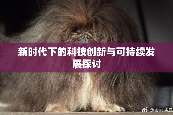 新时代下的科技创新与可持续发展探讨