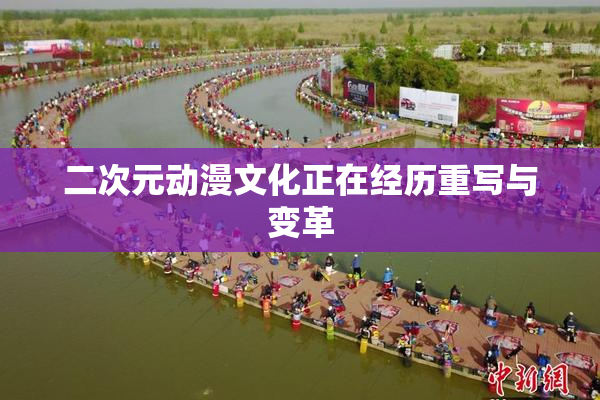 二次元动漫文化正在经历重写与变革