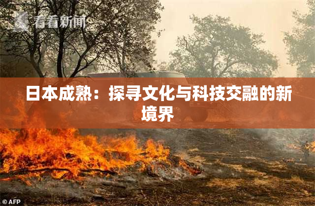日本成熟：探寻文化与科技交融的新境界