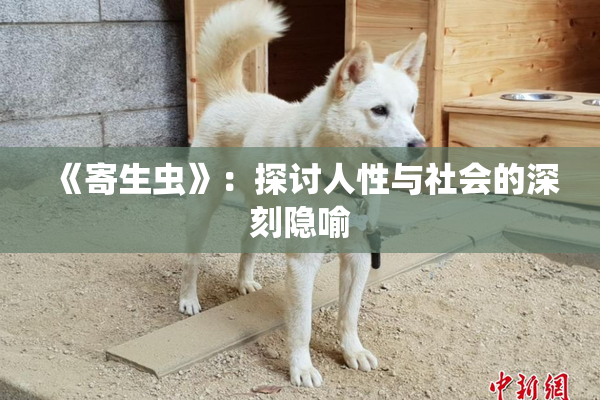《寄生虫》：探讨人性与社会的深刻隐喻