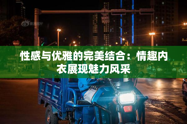 性感与优雅的完美结合：情趣内衣展现魅力风采