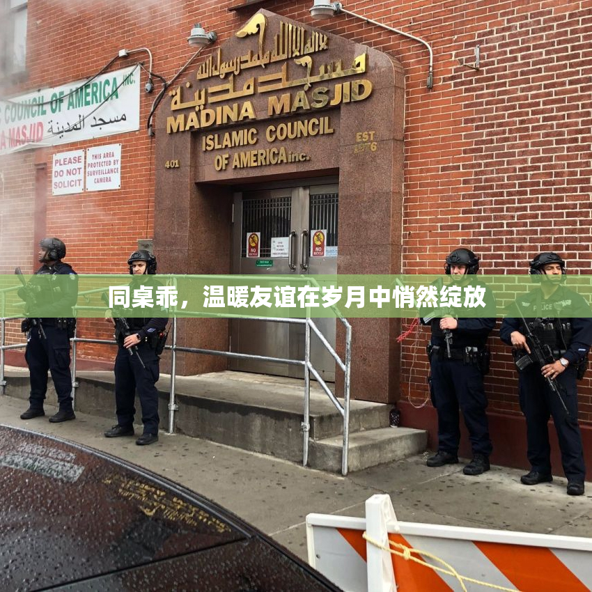 同桌乖，温暖友谊在岁月中悄然绽放