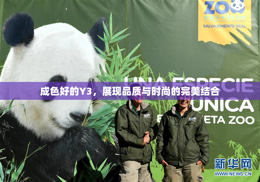 成色好的Y3，展现品质与时尚的完美结合