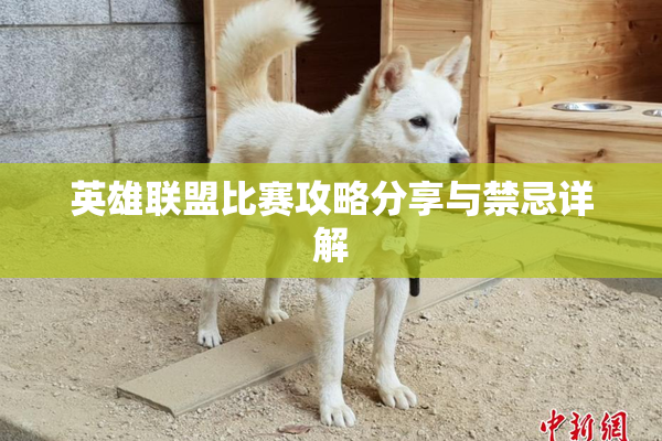 英雄联盟比赛攻略分享与禁忌详解