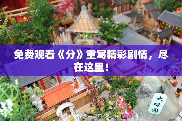 免费观看《分》重写精彩剧情，尽在这里！
