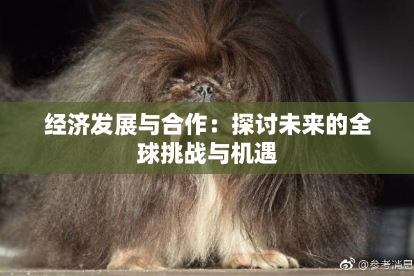 经济发展与合作：探讨未来的全球挑战与机遇