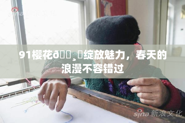 91樱花🌸‌绽放魅力，春天的浪漫不容错过