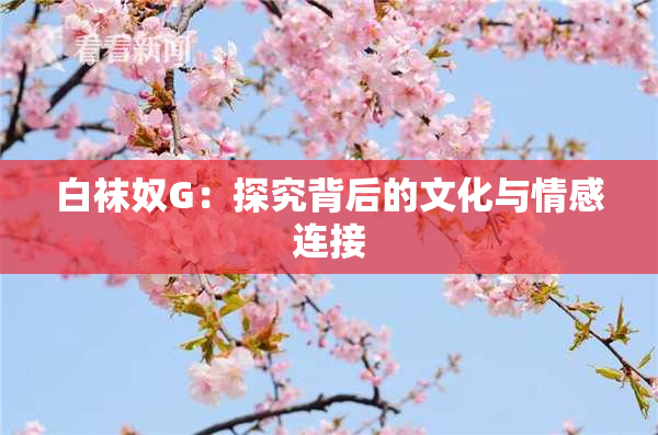白袜奴G：探究背后的文化与情感连接