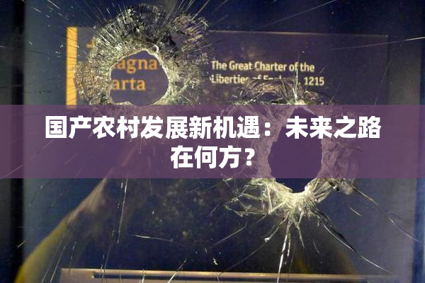 国产农村发展新机遇：未来之路在何方？