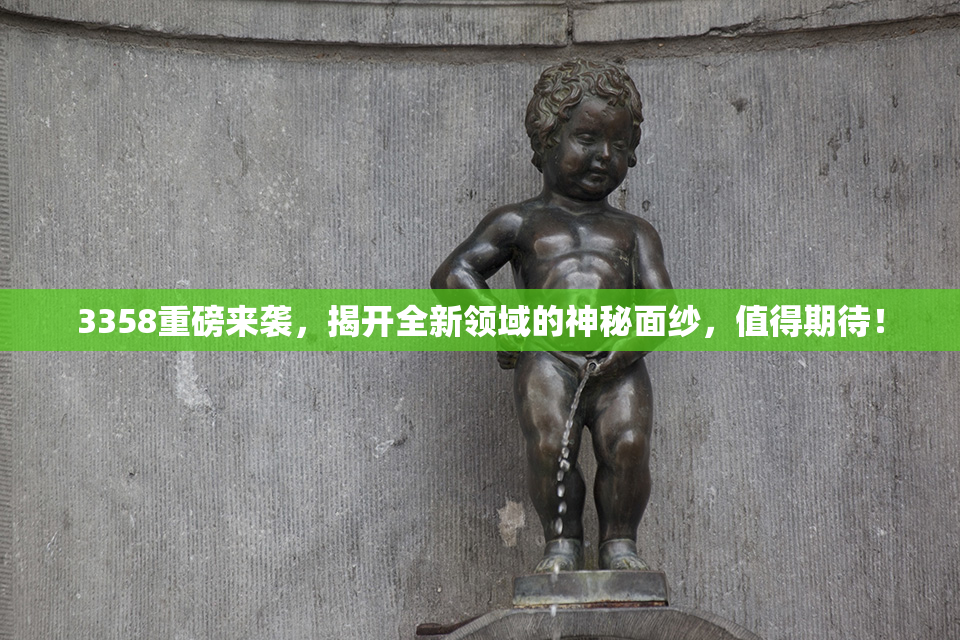 3358重磅来袭，揭开全新领域的神秘面纱，值得期待！