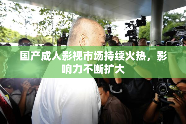 国产成人影视市场持续火热，影响力不断扩大