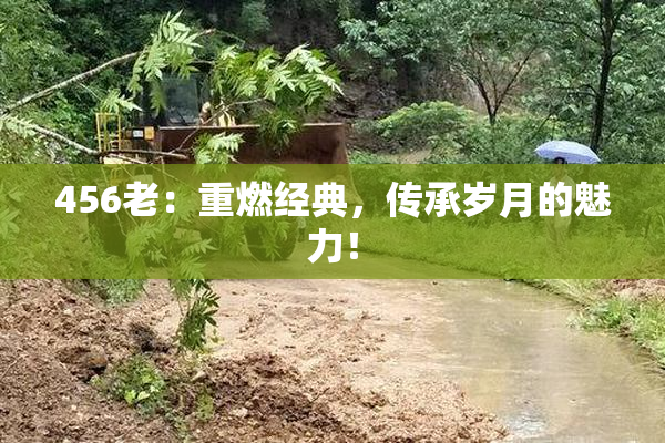 456老：重燃经典，传承岁月的魅力！