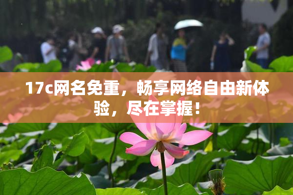 17c网名免重，畅享网络自由新体验，尽在掌握！