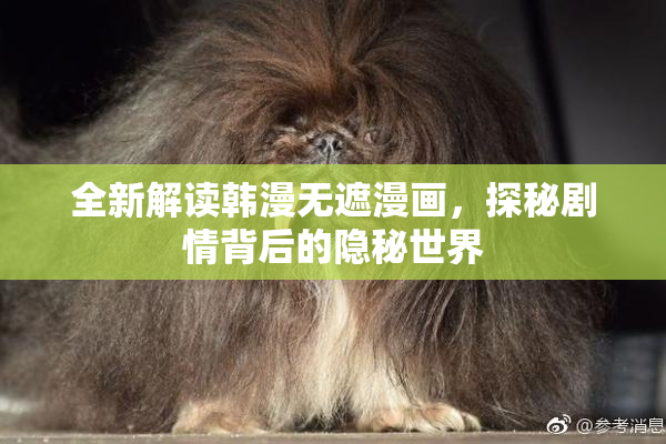 全新解读韩漫无遮漫画，探秘剧情背后的隐秘世界