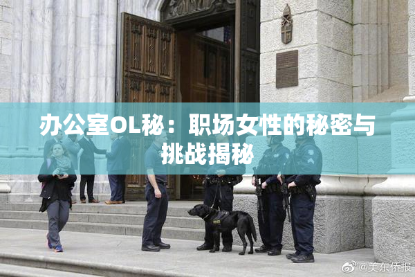 办公室OL秘：职场女性的秘密与挑战揭秘