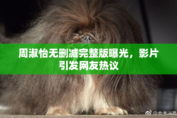 周淑怡无删减完整版曝光，影片引发网友热议