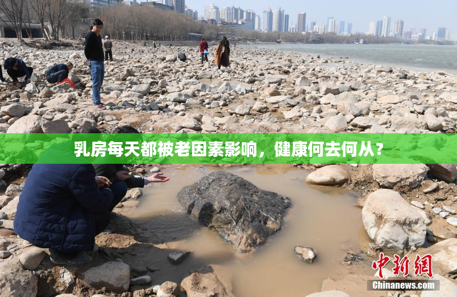 乳房每天都被老因素影响，健康何去何从？