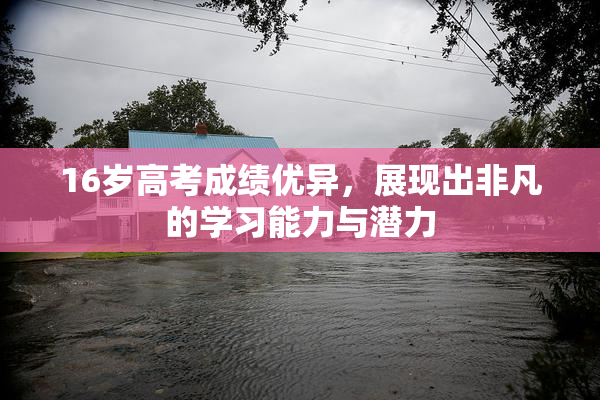 16岁高考成绩优异，展现出非凡的学习能力与潜力