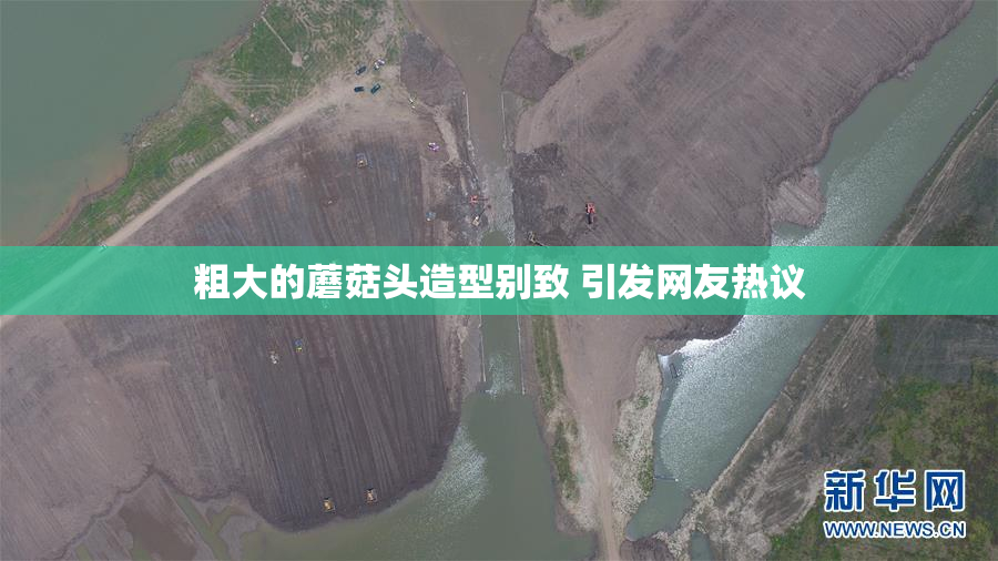 粗大的蘑菇头造型别致 引发网友热议