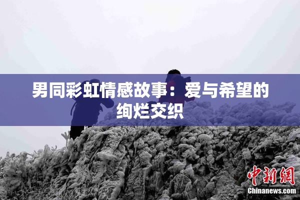 男同彩虹情感故事：爱与希望的绚烂交织