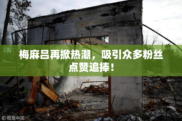 梅麻吕再掀热潮，吸引众多粉丝点赞追捧！