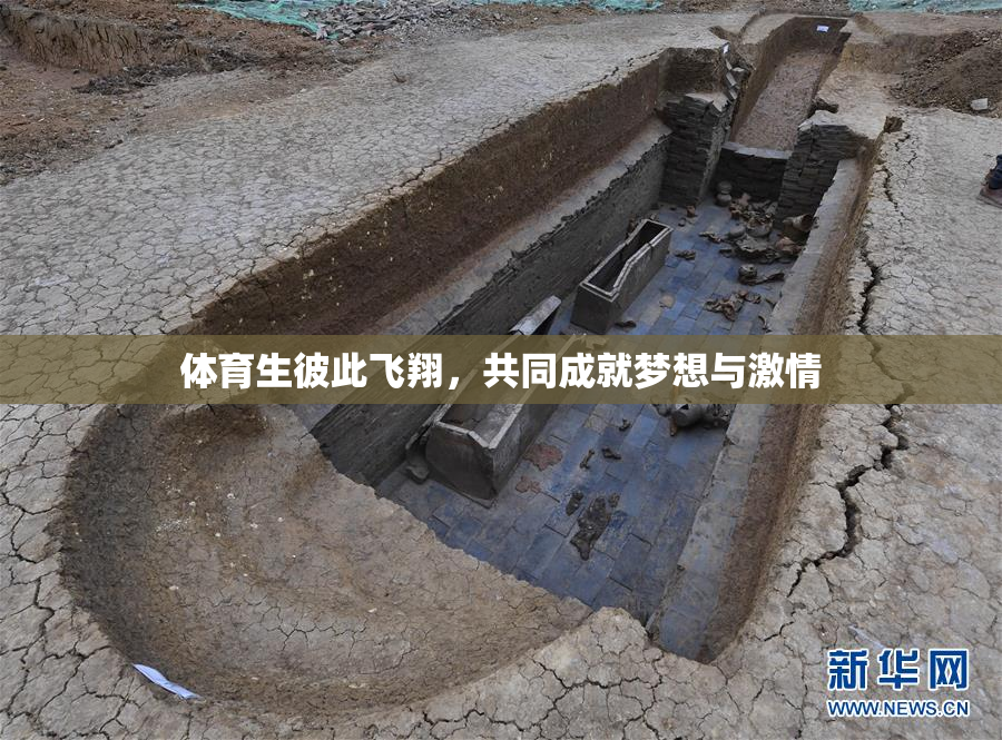 体育生彼此飞翔，共同成就梦想与激情