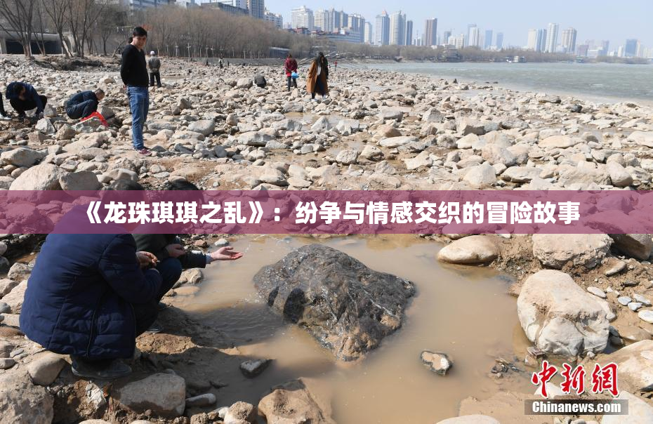 《龙珠琪琪之乱》：纷争与情感交织的冒险故事