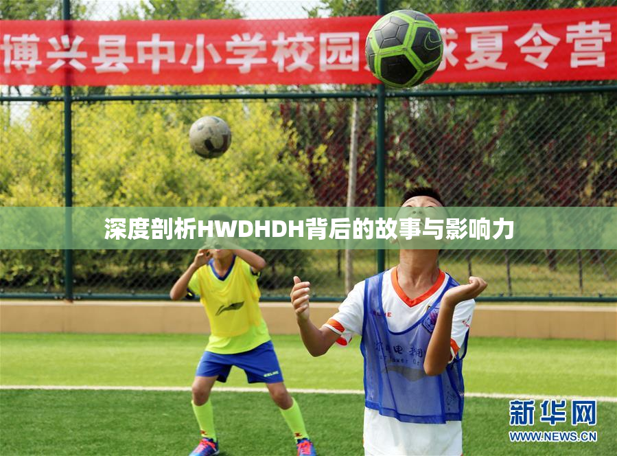 深度剖析HWDHDH背后的故事与影响力
