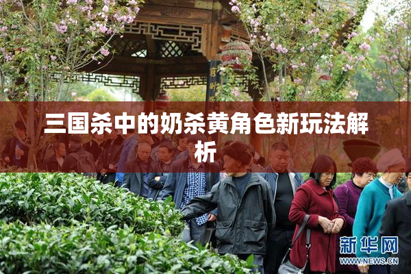 三国杀中的奶杀黄角色新玩法解析
