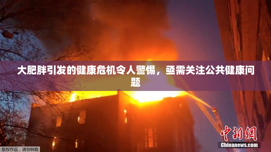 大肥胖引发的健康危机令人警惕，亟需关注公共健康问题