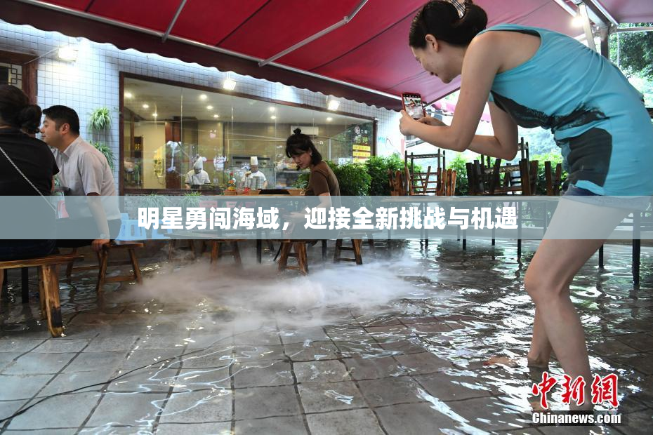 明星勇闯海域，迎接全新挑战与机遇