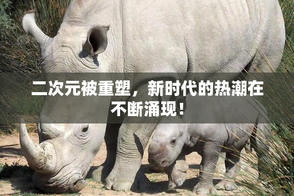 二次元被重塑，新时代的热潮在不断涌现！