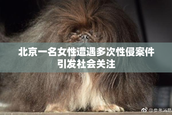 北京一名女性遭遇多次性侵案件引发社会关注