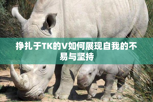 挣扎于TK的V如何展现自我的不易与坚持