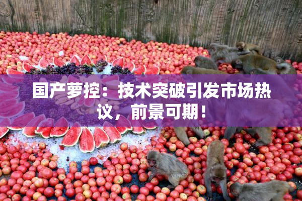 国产萝控：技术突破引发市场热议，前景可期！