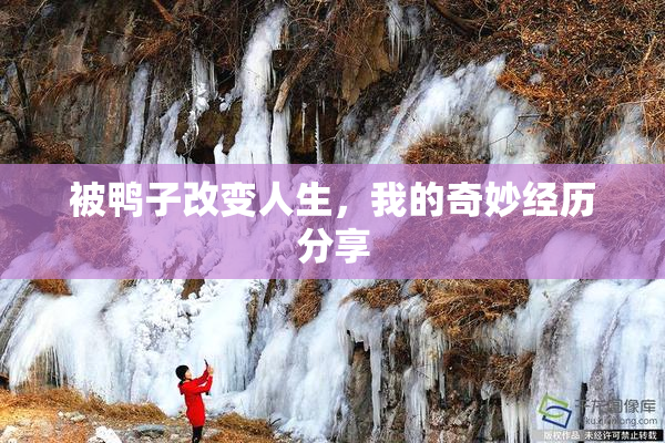被鸭子改变人生，我的奇妙经历分享