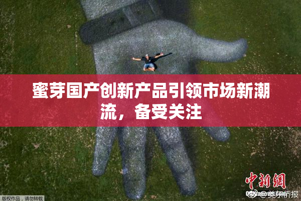 蜜芽国产创新产品引领市场新潮流，备受关注