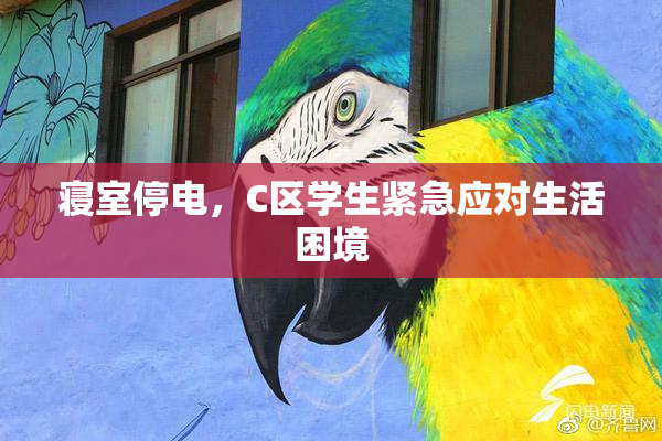 寝室停电，C区学生紧急应对生活困境
