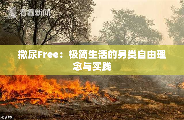 撒尿Free：极简生活的另类自由理念与实践