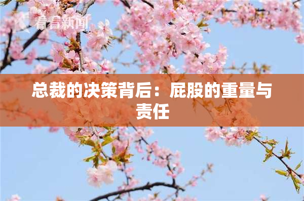 总裁的决策背后：屁股的重量与责任