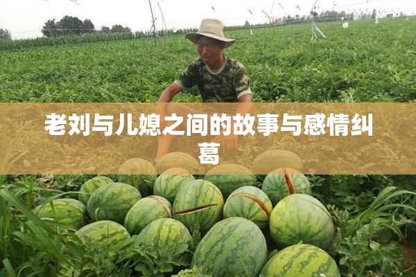 老刘与儿媳之间的故事与感情纠葛